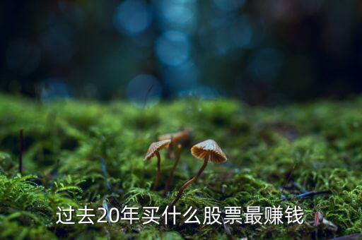 2016什么股票最熱門(mén),過(guò)去20年買什么股票最賺錢