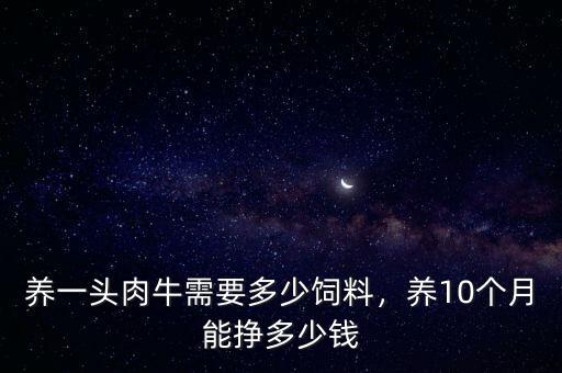 養(yǎng)一頭肉牛需要多少飼料，養(yǎng)10個月能掙多少錢