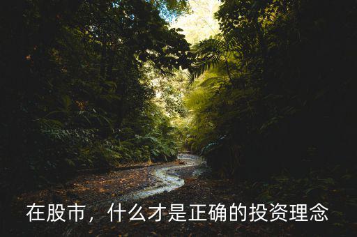 什么是投資理念,什么是正確的價(jià)值投資理念