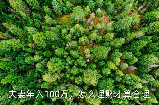 夫妻年入100萬，怎么理財(cái)才算合理