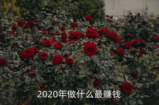 2020年做什么最賺錢