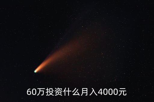 60萬投資什么月入4000元