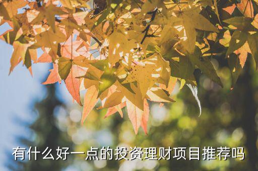 現(xiàn)在投資什么理財(cái)好,有什么好理財(cái)產(chǎn)品