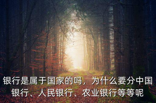 銀行是屬于國家的嗎，為什么要分中國銀行、人民銀行、農(nóng)業(yè)銀行等等呢