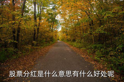 股票分紅是什么意思有什么好處呢