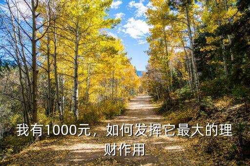 我有1000元，如何發(fā)揮它最大的理財(cái)作用