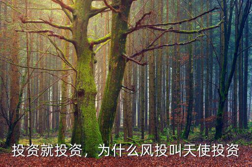 三益寶為什么沒(méi)有風(fēng)投,為什么風(fēng)投叫天使投資