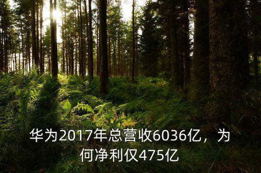 華為2017年總營收6036億，為何凈利僅475億