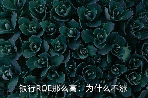 銀行ROE那么高，為什么不漲