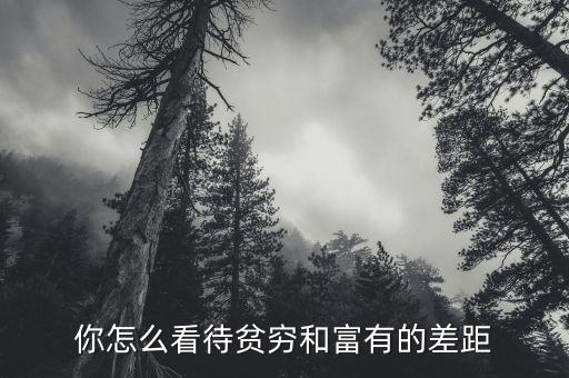 你怎么看待貧窮和富有的差距