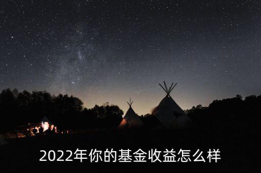 2022年你的基金收益怎么樣