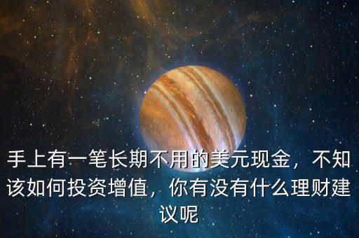 手上有一筆長期不用的美元現(xiàn)金，不知該如何投資增值，你有沒有什么理財建議呢