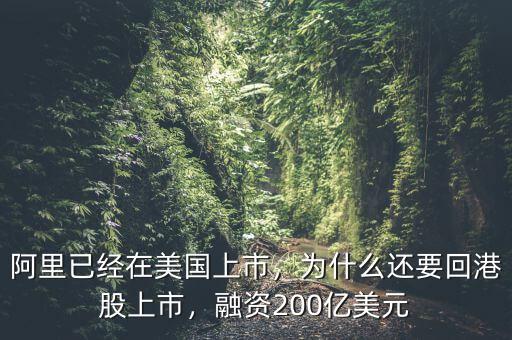 阿里已經(jīng)在美國上市，為什么還要回港股上市，融資200億美元