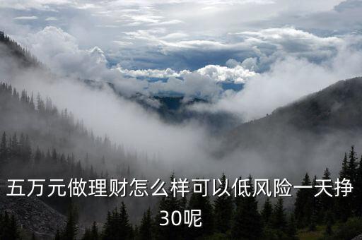 五萬(wàn)元做理財(cái)怎么樣可以低風(fēng)險(xiǎn)一天掙30呢