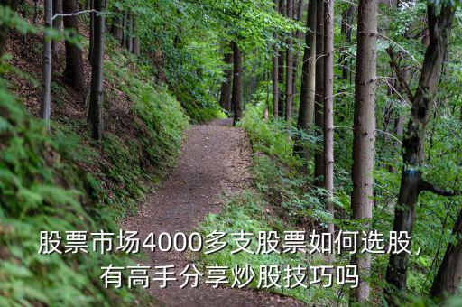 股票市場(chǎng)4000多支股票如何選股，有高手分享炒股技巧嗎