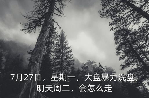 7月27日，星期一，大盤暴力洗盤，明天周二，會怎么走