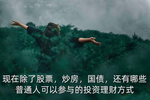 現(xiàn)在除了股票，炒房，國債，還有哪些普通人可以參與的投資理財方式