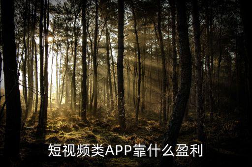 短視頻類APP靠什么盈利