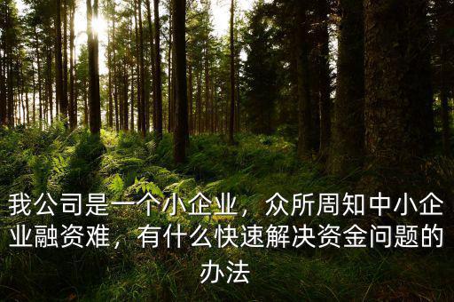 國(guó)外是怎么解決中小企業(yè)融資難問(wèn)題,中小企業(yè)融資難