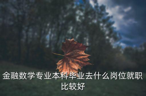 金融數(shù)學專業(yè)本科畢業(yè)去什么崗位就職比較好