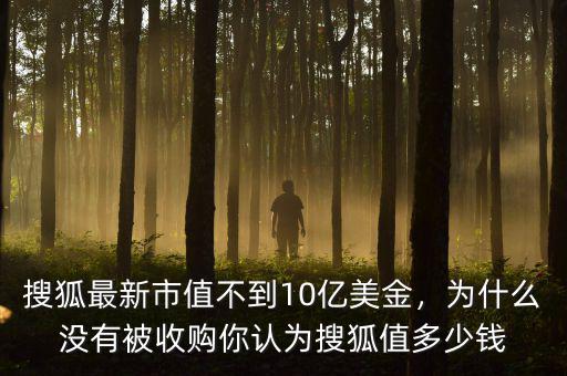 搜狐最新市值不到10億美金，為什么沒有被收購(gòu)你認(rèn)為搜狐值多少錢