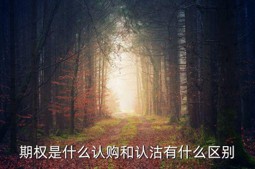 期權(quán)是什么認(rèn)購(gòu)和認(rèn)沽有什么區(qū)別