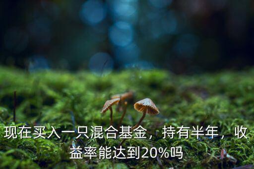 現(xiàn)在買入一只混合基金，持有半年，收益率能達(dá)到20%嗎