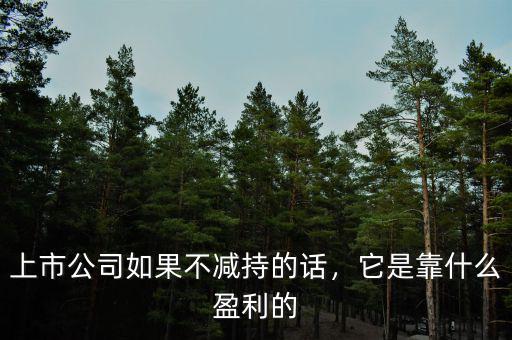 上市公司如果不減持的話，它是靠什么盈利的