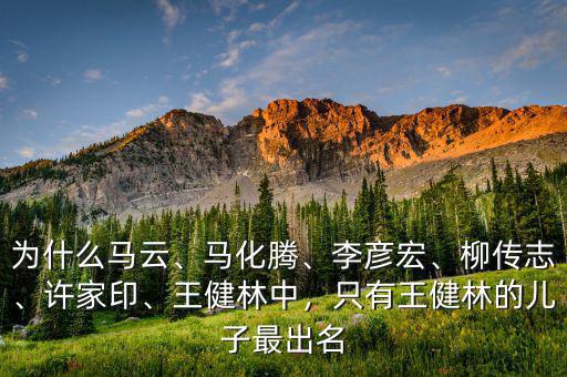 為什么馬云、馬化騰、李彥宏、柳傳志、許家印、王健林中，只有王健林的兒子最出名