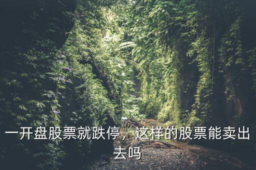 一開盤股票就跌停，這樣的股票能賣出去嗎