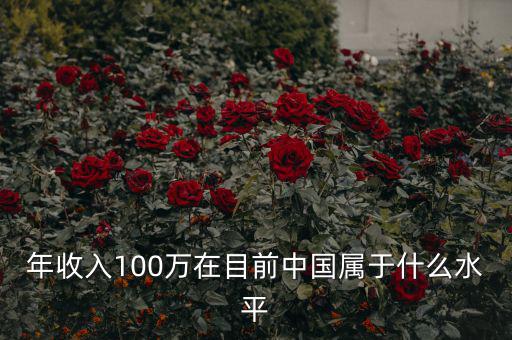 年收入100萬在目前中國屬于什么水平