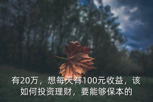 有20萬，想每天有100元收益，該如何投資理財，要能夠保本的