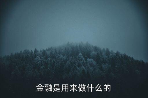 金融是用來(lái)做什么的