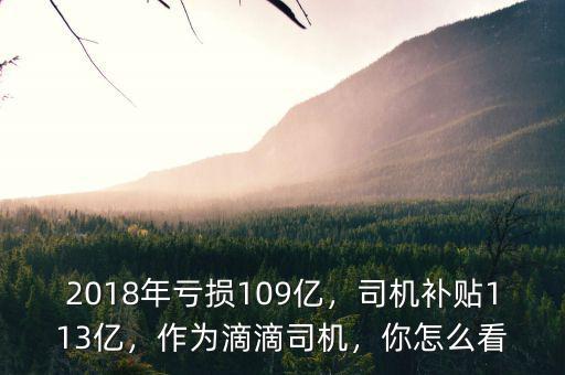 2018年虧損109億，司機補貼113億，作為滴滴司機，你怎么看