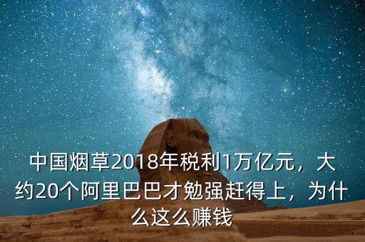 中國(guó)煙草2018年稅利1萬(wàn)億元，大約20個(gè)阿里巴巴才勉強(qiáng)趕得上，為什么這么賺錢