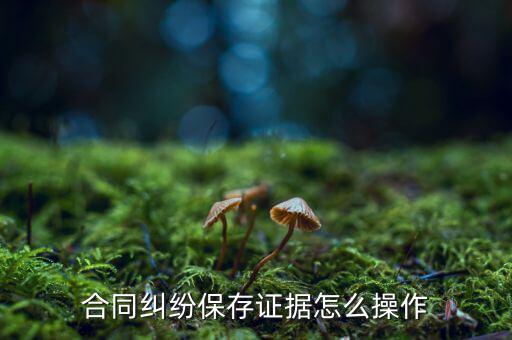 合同糾紛保存證據(jù)怎么操作