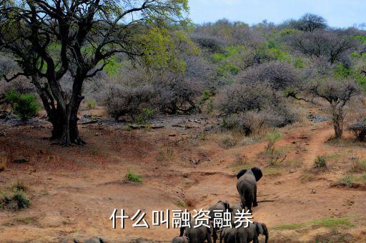 融資融券總負(fù)債什么意思,什么叫融資融券