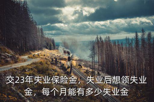 交23年失業(yè)保險(xiǎn)金，失業(yè)后想領(lǐng)失業(yè)金，每個月能有多少失業(yè)金