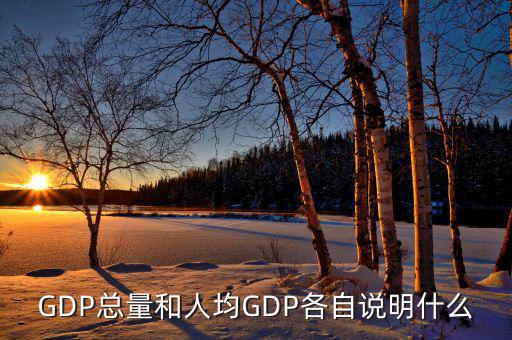 GDP總量和人均GDP各自說明什么