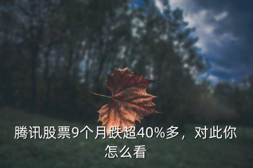 騰訊股票9個月跌超40%多，對此你怎么看