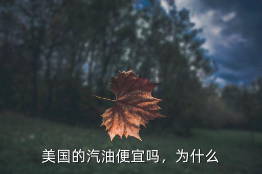 美國的汽油便宜嗎，為什么