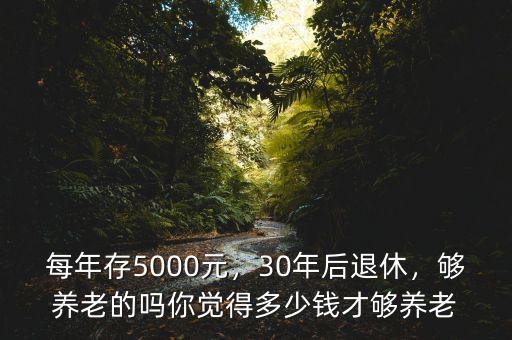 每年存5000元，30年后退休，夠養(yǎng)老的嗎你覺得多少錢才夠養(yǎng)老