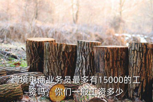 跨境電商業(yè)務(wù)員最多有15000的工資嗎，你們一般工資多少