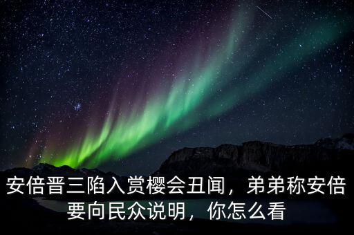 安倍晉三陷入賞櫻會丑聞，弟弟稱安倍要向民眾說明，你怎么看