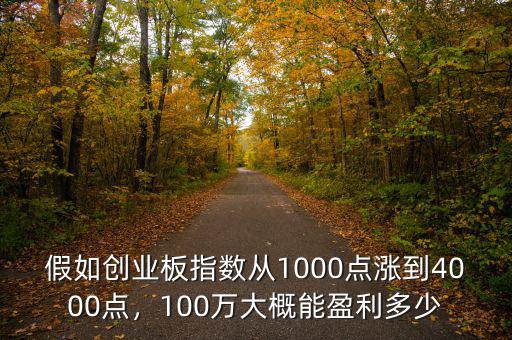 假如創(chuàng)業(yè)板指數(shù)從1000點漲到4000點，100萬大概能盈利多少