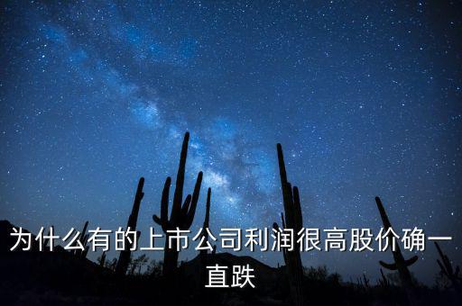 為什么有的上市公司利潤很高股價(jià)確一直跌