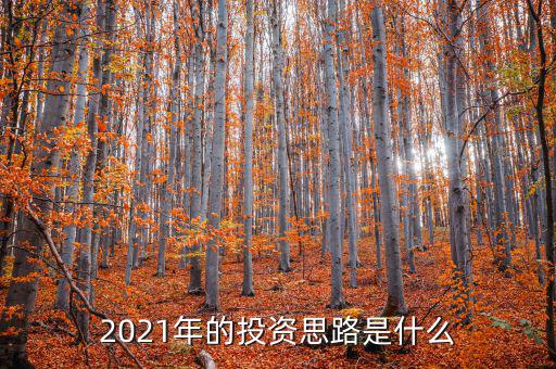 2021年的投資思路是什么