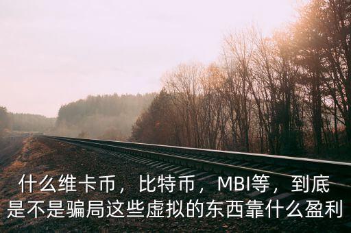 什么維卡幣，比特幣，MBI等，到底是不是騙局這些虛擬的東西靠什么盈利