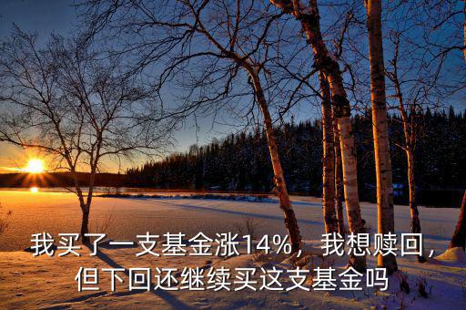 我買了一支基金漲14%，我想贖回，但下回還繼續(xù)買這支基金嗎