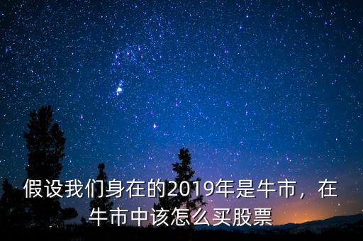 假設(shè)我們身在的2019年是牛市，在牛市中該怎么買股票